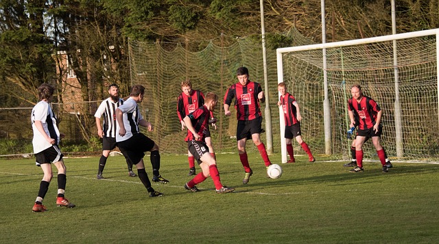 是对不当行 是对不当行