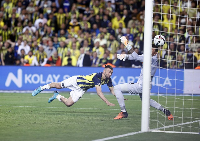 这样的结果 这样的结果