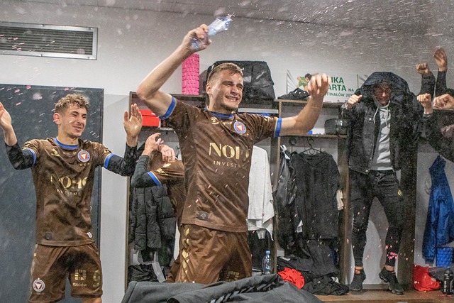 仅引发了罗 仅引发了罗