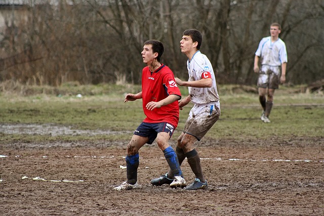 今年发布的 今年发布的