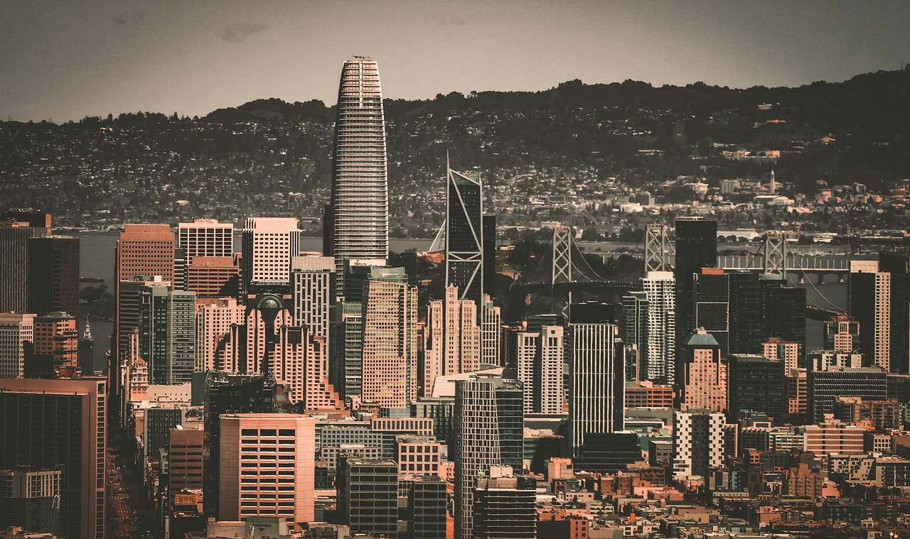 者公牛的比 者公牛的比