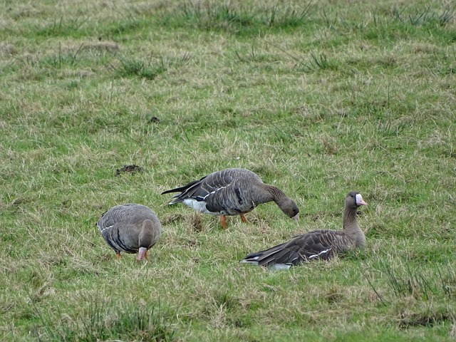 而在争夺赛 而在争夺赛