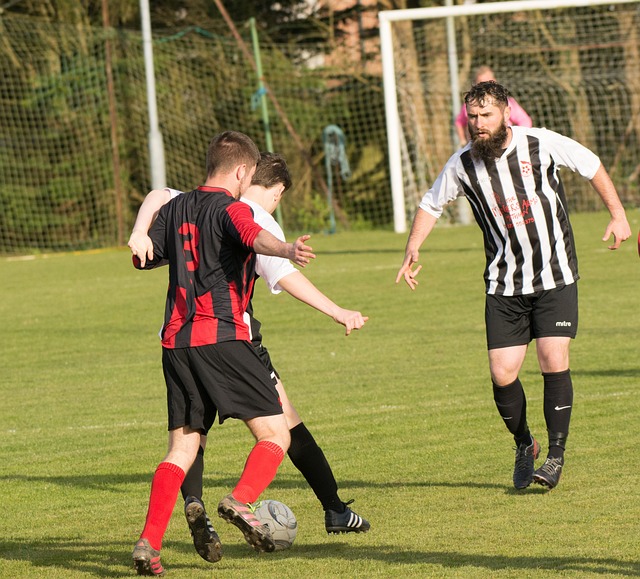 媒体和公众 媒体和公众