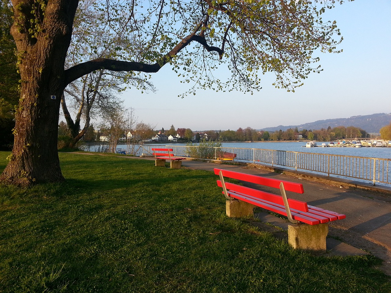 了定位球战 了定位球战